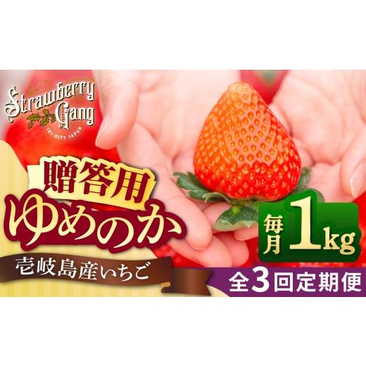 ふるさと納税 いちご 長崎県 壱岐市 先行予約 贈答用 全3回定期便 ゆめのか 約250g×4パック 2027年1月以降順次発送 [壱岐市] Strawberry Gang JEM002 いち…