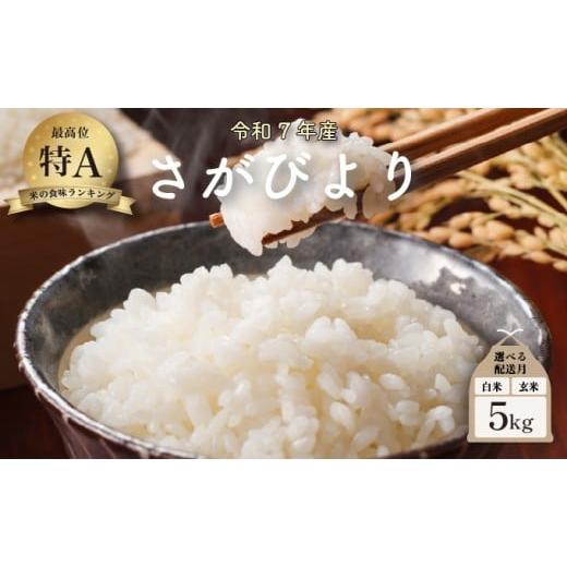ふるさと納税 米 さがびより 佐賀県 大町町 2026年5月配送 令和7年産 さがびより 5kg /米 お米 返礼品 飯 ごはん 弁当 銘柄米 白米 県産米 佐賀県産 国産米 …