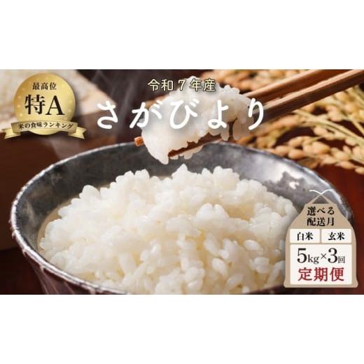ふるさと納税 米 さがびより 佐賀県 大町町 2026年5月配送 令和7年産 さがびより 5kg×3回定期便 /米 お米 返礼品 飯 ごはん 弁当 銘柄米 白米 県産米 佐賀…