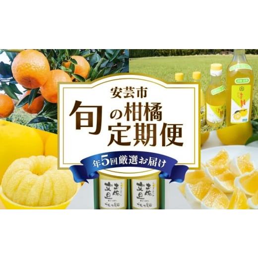 ふるさと納税 果汁飲料 みかん 高知県 安芸市 5回 定期便 柑橘 定期便 高知 みかん 文旦 小夏 ぽんかん ゆず ジュース 人気 旬 果物 フルーツ 食べ比べ 加工…