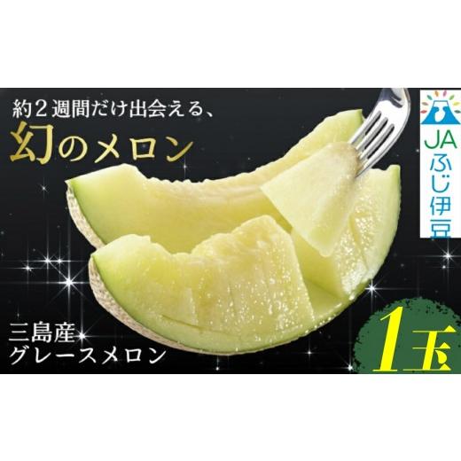 ふるさと納税 メロン メロン青肉 静岡県 三島市 予約受付中 グレースメロン 1玉 JAふじ伊豆 ファーマーズマーケット みしまるかん お取り寄せ グルメ フルー…