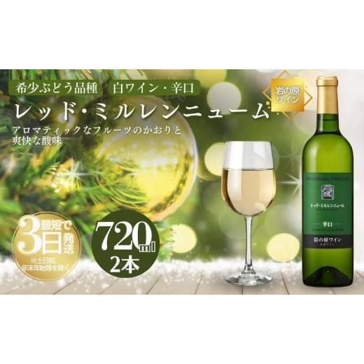 ふるさと納税 ワイン 白ワイン 新潟県 上越市 ワイン 岩の原ワイン レッド・ミルレンニューム 2本 720ml 希少ぶどう品種 辛口 お酒 希少 ぶどう 岩の原 新潟 …