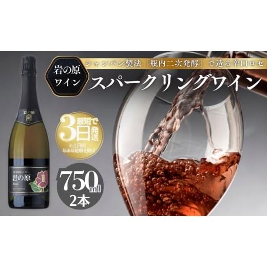 ふるさと納税 ワイン セット 新潟県 上越市 ワイン 岩の原スパークリングワイン ロゼ 瓶内二次発酵 2本 (750ml) お酒 岩の原 酒 新潟 上越 最短3日で発送