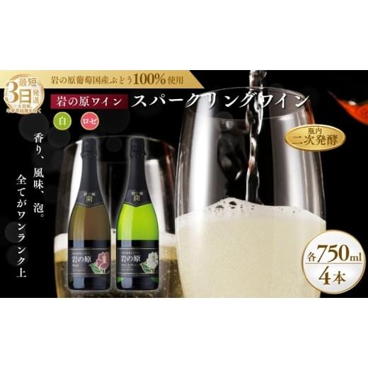 ふるさと納税 ワイン セット 新潟県 上越市 ワイン 岩の原スパークリングワイン 白 ロゼ 瓶内二次発酵 4本セット (白×2本、ロゼ×2本 各750ml) お酒 岩の原…