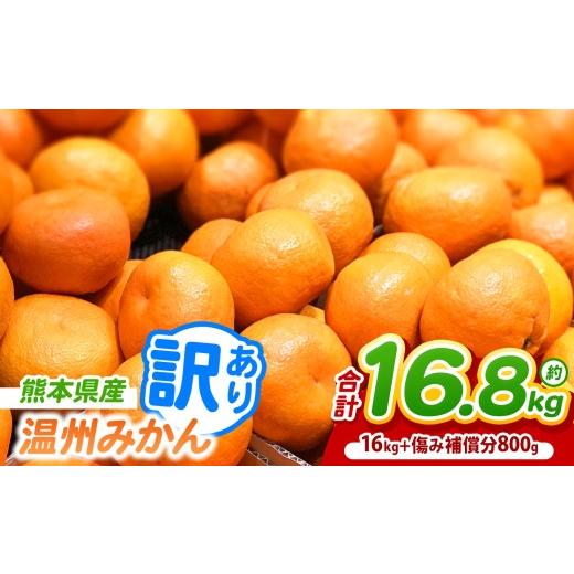 ふるさと納税 果物類 みかん 熊本県 玉名市 訳あり 熊本県産 温州 みかん 約 16.8kg (16kg+傷み補償分800g) | フルーツ 果物 くだもの 柑橘 みかん ミカン …