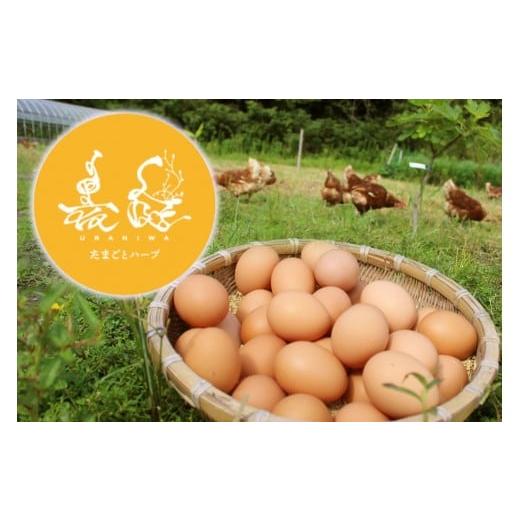 ふるさと納税 卵(鶏、烏骨鶏等) 高知県 宿毛市 たまご 18個 ( 6個入り×3パック ) 18個 ( 6個入り×3パック ) 8,000円