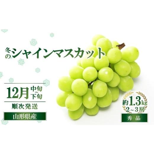 ふるさと納税 ぶどう マスカット 山形県 南陽市 令和8年産先行予約 JA 冬のシャインマスカット 約1.3kg (2〜3房 秀) [令和8年12月中旬〜下旬発送] 『JA山形…