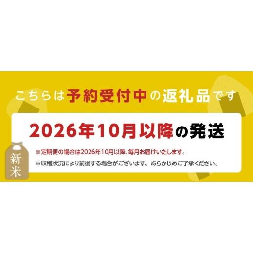 ふるさと納税 米 福岡県 久留米市  2026年10月より順次発送 福岡県産ブランド米夢つくし 白米 27kg 令和8年産 新米 _ 夢つくし 27kg 1回 福岡県産 久留米産 ブ…の画像