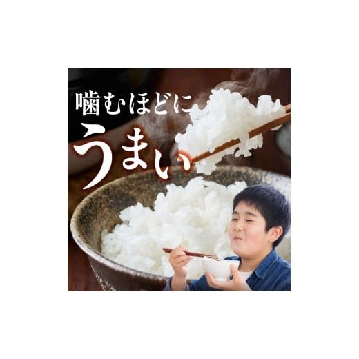 ふるさと納税 米 福岡県 久留米市  2026年10月より順次発送 福岡県産ブランド米夢つくし 白米 27kg 令和8年産 新米 _ 夢つくし 27kg 1回 福岡県産 久留米産 ブ…の画像