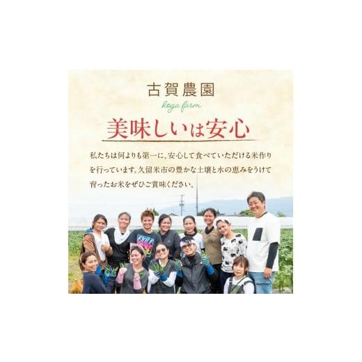 ふるさと納税 米 福岡県 久留米市  2026年10月より順次発送 福岡県産ブランド米夢つくし 白米 27kg 令和8年産 新米 _ 夢つくし 27kg 1回 福岡県産 久留米産 ブ…の画像