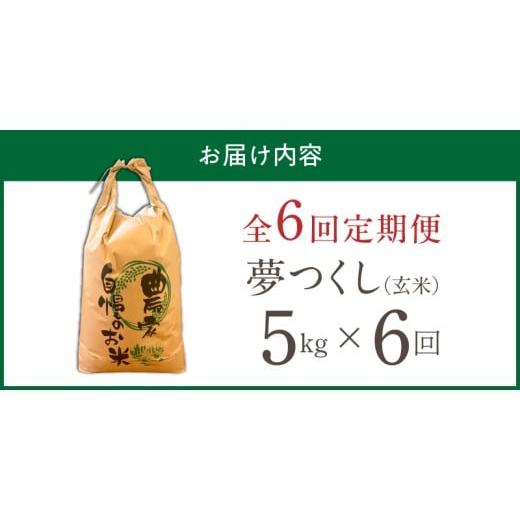 ふるさと納税 玄米 福岡県 久留米市 定期便6回 令和8年産 新米 福岡県産ブランド米夢つくし 玄米 5kg×6回 _ 令和8年産 新米 夢つくし 5kg 6回 定期便 福岡県…_9