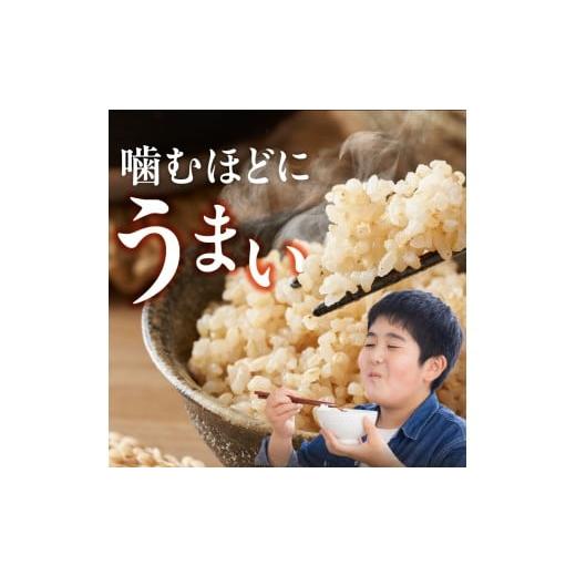 ふるさと納税 玄米 福岡県 久留米市  2026年10月より順次発送 福岡県産ブランド米夢つくし 玄米 30kg 令和8年産 新米 _ 夢つくし 30kg 1回 福岡県産 久留米産 …の画像