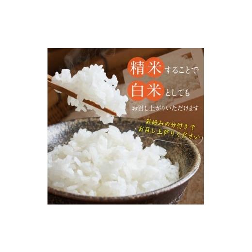 ふるさと納税 玄米 福岡県 久留米市  2026年10月より順次発送 福岡県産ブランド米夢つくし 玄米 30kg 令和8年産 新米 _ 夢つくし 30kg 1回 福岡県産 久留米産 …の画像