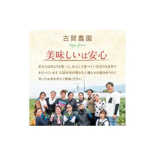 ふるさと納税 玄米 福岡県 久留米市  2026年10月より順次発送 福岡県産ブランド米夢つくし 玄米 30kg 令和8年産 新米 _ 夢つくし 30kg 1回 福岡県産 久留米産 …の画像
