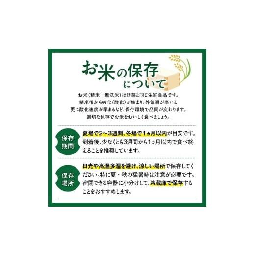 ふるさと納税 玄米 福岡県 久留米市  2026年10月より順次発送 福岡県産ブランド米夢つくし 玄米 30kg 令和8年産 新米 _ 夢つくし 30kg 1回 福岡県産 久留米産 …の画像