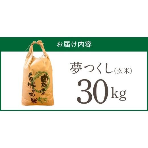ふるさと納税 玄米 福岡県 久留米市  2026年10月より順次発送 福岡県産ブランド米夢つくし 玄米 30kg 令和8年産 新米 _ 夢つくし 30kg 1回 福岡県産 久留米産 …の画像