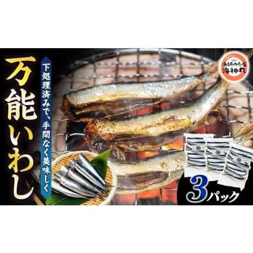 ふるさと納税 旬の鮮魚等 愛知県 南知多町 万能いわし 8匹 (約160g~180g) × 3袋 下処理済み 3袋 : 7000円