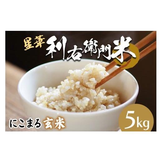 ふるさと納税 米 にこまる 大阪府 交野市 星華 利右衛門米 にこまる 玄米 5kg|米 こめ コメ ごはん ご飯 0302