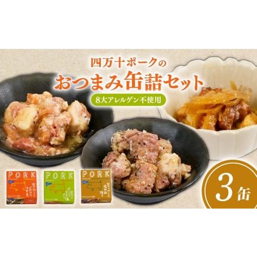 ふるさと納税 豚肉 高知県 黒潮町 ブランド豚 四万十ポーク おつまみ 缶詰 3缶 セット 3種×各1缶 豚肉 豚 防災 災害 備蓄 非常食 おかず プレゼント ギフト …