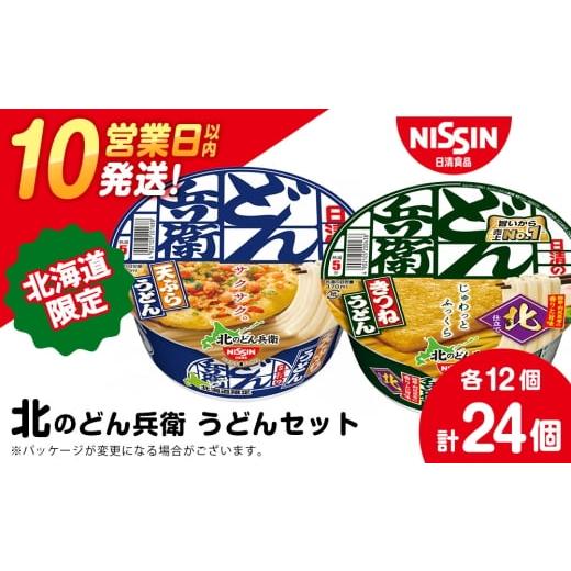 ふるさと納税 うどん インスタント 北海道 千歳市 2月発送 日清 北のどん兵衛 うどんセット 天ぷら・きつね 各1箱・合計2箱 2月発送