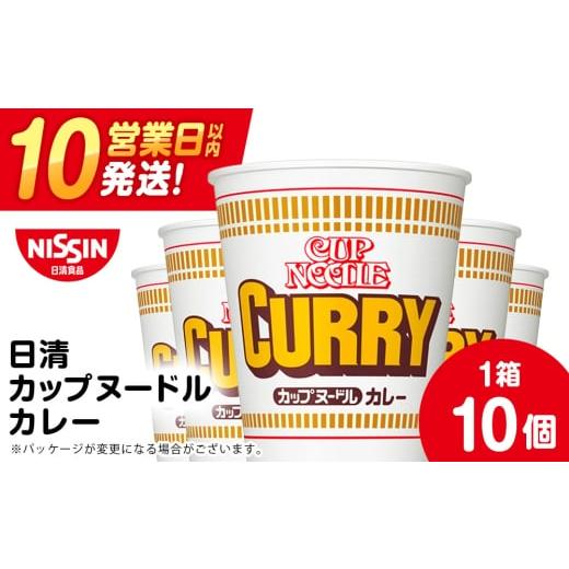 ふるさと納税 ラーメン 北海道 千歳市 2月発送 日清 カレーヌードル 10食 ラーメン 麺 即席麺 麺類 カップ麺 インスタント カップラーメン 2月発送