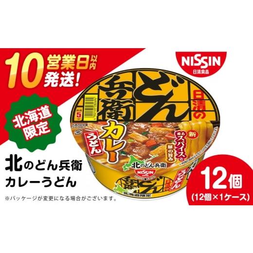 ふるさと納税 うどん インスタント 北海道 千歳市 3月発送 日清 北のどん兵衛 カレーうどん 北海道仕様 12個 3月発送