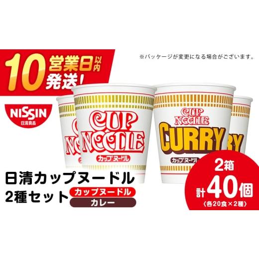 ふるさと納税 ラーメン 北海道 千歳市 3月発送 日清 ヌードル2種セット カップヌードル・カレーヌードル各20食 ラーメン 麺 即席麺 麺類 カップ麺 インスタン…