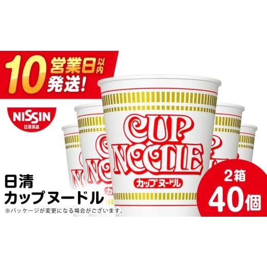 ふるさと納税 麺類 北海道 千歳市 3月発送 日清 カップヌードル 40食(2箱) ラーメン 麺 即席麺 麺類 カップ麺 インスタント カップラーメン 3月発送