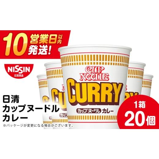 ふるさと納税 麺類 北海道 千歳市 3月発送 日清 カレーヌードル 20食(1箱) ラーメン 麺 即席麺 麺類 カップ麺 インスタント カップラーメン 3月発送
