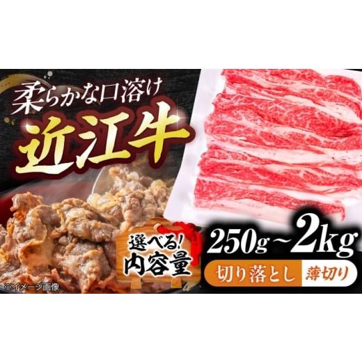ふるさと納税 牛肉 炒め物 滋賀県 栗東市 近江牛切り落とし(薄切り)500g / 牛肉切り落とし 和牛 国産 栗東市 切り落とし肉 滋賀県 近江牛牛肉 近江牛肉 切…