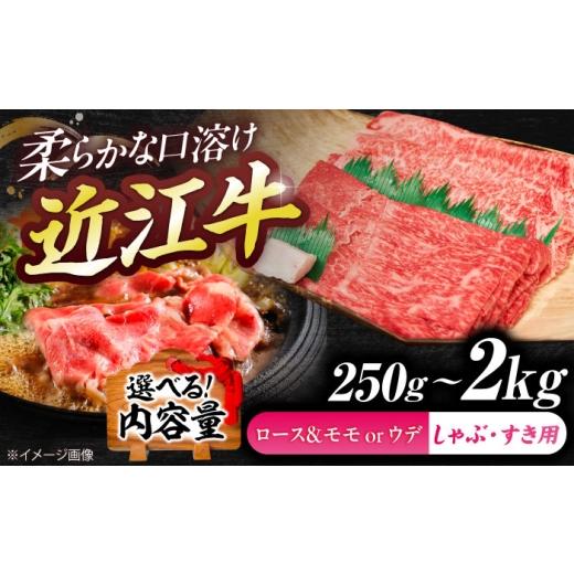ふるさと納税 牛肉 すき焼き 滋賀県 栗東市 近江牛 ロース&モモ・ウデ(すき・しゃぶ)500g / すき焼き しゃぶしゃぶ すきやき肉 しゃぶしゃぶ用 すき焼き用 …