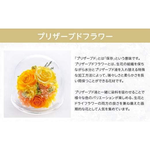 ふるさと納税 花・苗木 東京都 墨田区 キャンティ 花 お花 プリザーブドフラワー ギフト プレゼント お祝い 誕生日 お供え アレンジ インテリア 東京都 墨田区…