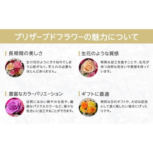 ふるさと納税 花・苗木 東京都 墨田区 キャンティ 花 お花 プリザーブドフラワー ギフト プレゼント お祝い 誕生日 お供え アレンジ インテリア 東京都 墨田区…
