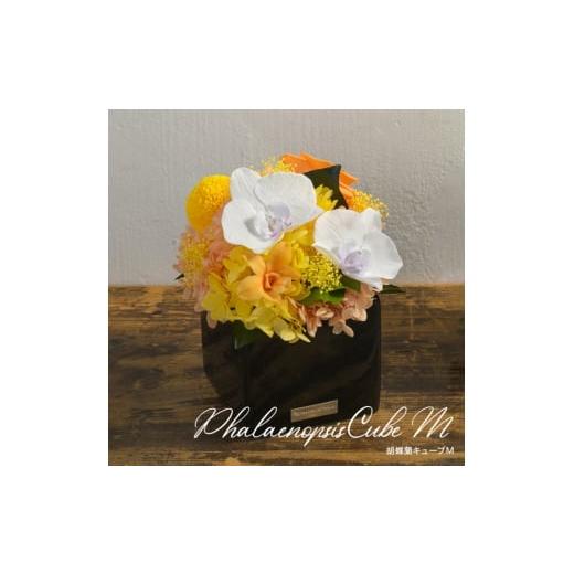 ふるさと納税 花・苗木 東京都 墨田区 胡蝶蘭キューブM 花 お花 プリザーブドフラワー ギフト プレゼント お祝い 誕生日 お供え アレンジ インテリア 東京都 …