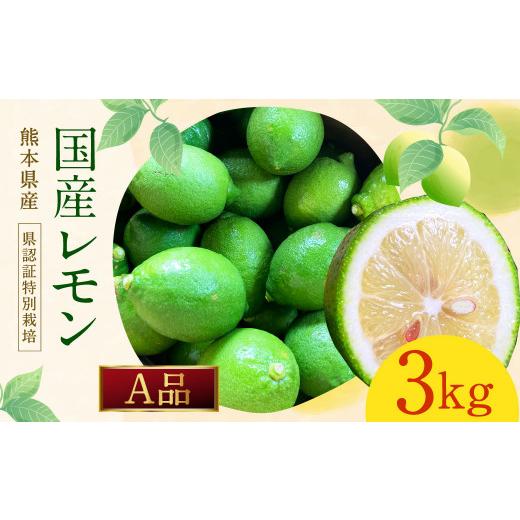 ふるさと納税 みかん・柑橘類 レモン 熊本県 水俣市 国産 レモン A品 3kg (県認証特別栽培)国産 柑橘 果物 フルーツ 2026年6月上旬迄発送予定 2026年6月上旬…