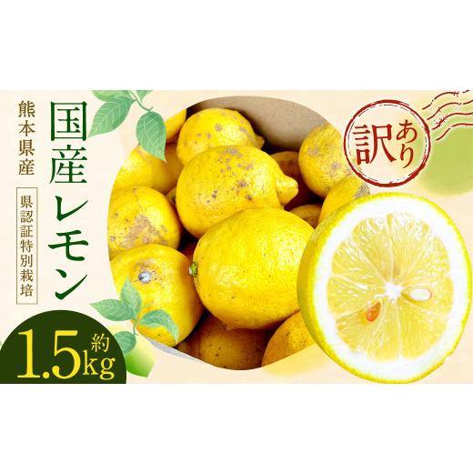 ふるさと納税 みかん・柑橘類 レモン 熊本県 水俣市 訳あり 国産レモン 1.5kg (県認証特別栽培) 防腐剤・ワックス不使用 国産 柑橘 果物 フルーツ 2026年6…