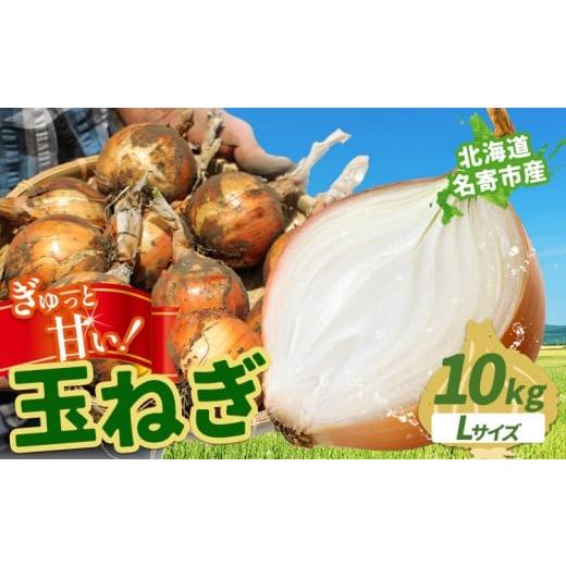 ふるさと納税 ねぎ・玉ねぎ 北海道 名寄市 北海道名寄産 玉ねぎ 10kg 秀品 Lサイズ《2026年10月上旬〜12月上旬出荷予定》北海道 名寄市 野菜 玉ねぎ 旬 カレー…の画像