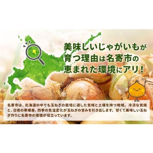 ふるさと納税 ねぎ・玉ねぎ 北海道 名寄市 北海道名寄産 玉ねぎ 10kg 秀品 Lサイズ《2026年10月上旬〜12月上旬出荷予定》北海道 名寄市 野菜 玉ねぎ 旬 カレー…の画像