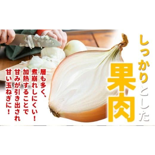 ふるさと納税 ねぎ・玉ねぎ 北海道 名寄市 北海道名寄産 玉ねぎ 10kg 秀品 Lサイズ《2026年10月上旬〜12月上旬出荷予定》北海道 名寄市 野菜 玉ねぎ 旬 カレー…の画像