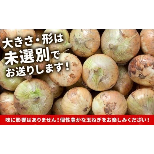 ふるさと納税 ねぎ・玉ねぎ 北海道 名寄市 北海道名寄産 玉ねぎ 10kg 秀品 Lサイズ《2026年10月上旬〜12月上旬出荷予定》北海道 名寄市 野菜 玉ねぎ 旬 カレー…の画像