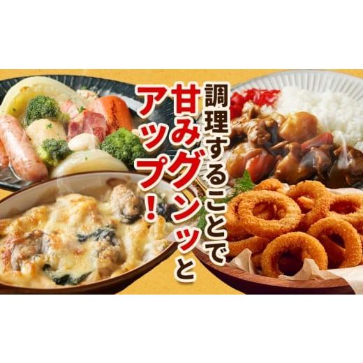 ふるさと納税 ねぎ・玉ねぎ 北海道 名寄市 北海道名寄産 玉ねぎ 10kg 秀品 Lサイズ《2026年10月上旬〜12月上旬出荷予定》北海道 名寄市 野菜 玉ねぎ 旬 カレー…の画像