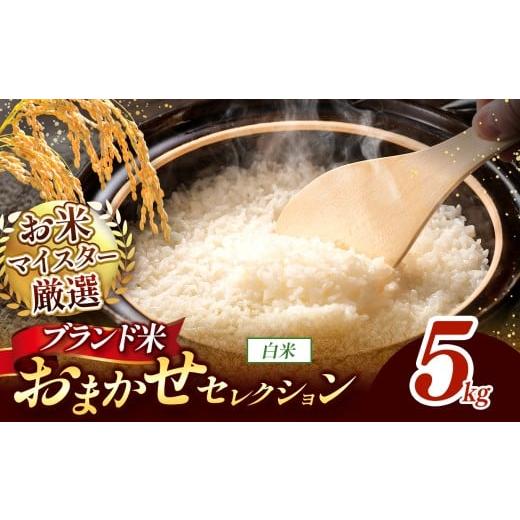 ふるさと納税 米 熊本県 和水町 令和7年産 おまかせ セレクション 熊本県産 白米 ひのひかり / 森のくまさん / くまさんの輝き 5kg 単品 | 単一銘柄 米 単…