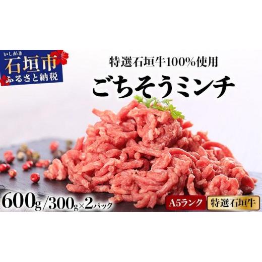 ふるさと納税 牛肉 沖縄県 石垣市 A5ランク 特選 石垣牛 100%使用 ごちそうミンチ 300g 2パック 計600g 2026年3月以降順次発送 | 沖縄 石垣 ミンチ 牛 肉 A5…