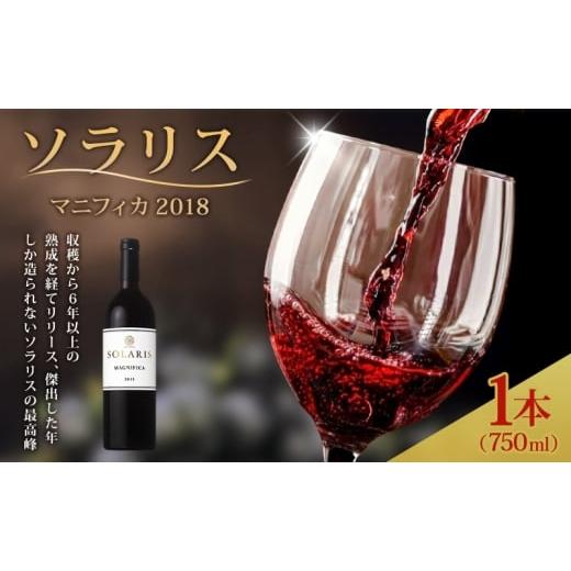 ふるさと納税 ワイン 赤ワイン 長野県 小諸市 日本ワイン ソラリス マニフィカ 750ml 1本 赤ワイン マンズワイン 酒 お酒 洋酒 果実酒 ぶどう酒 長野 長野県小…