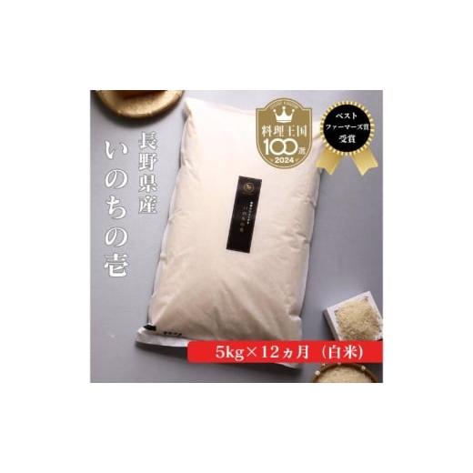 ふるさと納税 米 長野県 小諸市 定期便 12ヶ月 ベストファーマーズ賞受賞 いのちの壱 白米 5kg 無農薬 令和7年産 米 お米 チャック付 チャック 小分け 産地直…