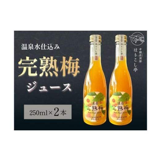 ふるさと納税 果汁飲料 長野県 小諸市 梅ジュース 250ml×2本 中棚温泉 長野 信州 小諸  