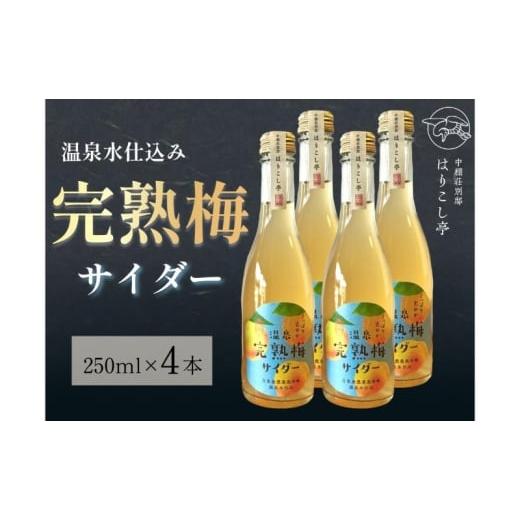 ふるさと納税 炭酸飲料 長野県 小諸市 梅サイダー 250ml×4本 中棚温泉 長野 信州 小諸  