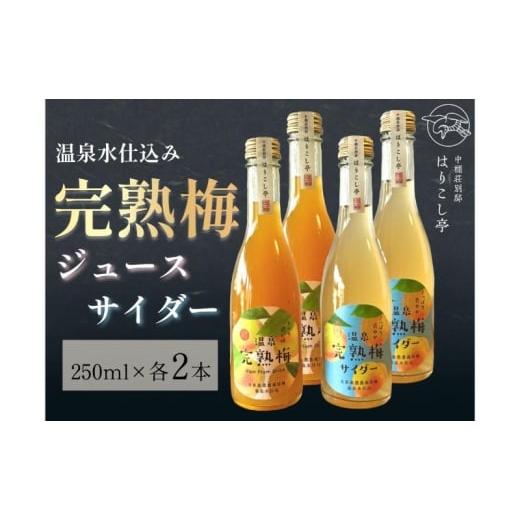 ふるさと納税 果汁飲料 長野県 小諸市 梅ジュース&梅サイダー 250ml×各種2本 中棚温泉 長野 信州 小諸  