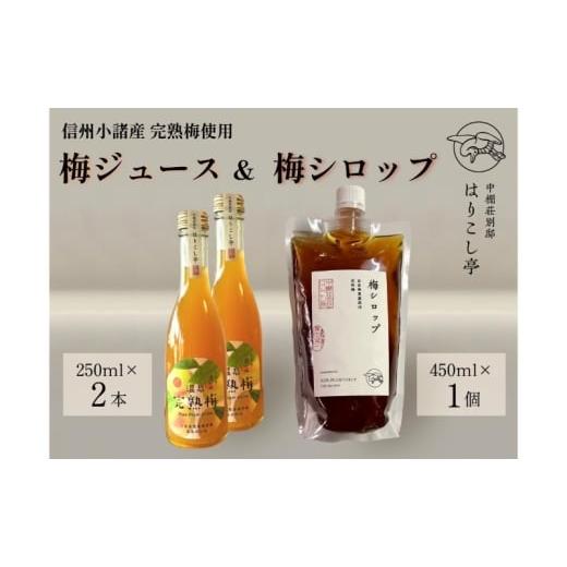 ふるさと納税 果汁飲料 長野県 小諸市 梅ジュース250ml×2本&梅シロップ450ml×1個 中棚温泉 長野 信州 小諸  