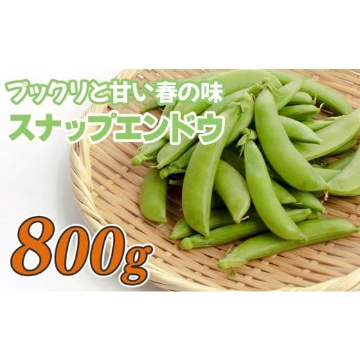 ふるさと納税 豆類 高知県 大月町 スナップエンドウ 800g 豆 えんどう|スナップえんどう 産地直送 新鮮野菜 旬の春野菜 採れたて 厳選 甘い ハウス サラダ 天…